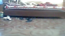 Vietnamese Tuyenquang