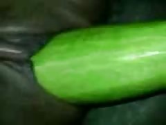 Muslim hijab slut fucked with cucumber