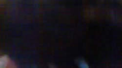 quelle levrette de petea